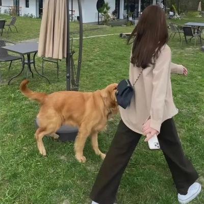 型仔复仇记